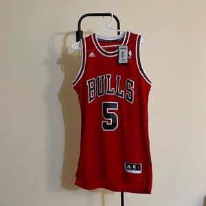Bulls Adidas Carlos Boozer Jersey